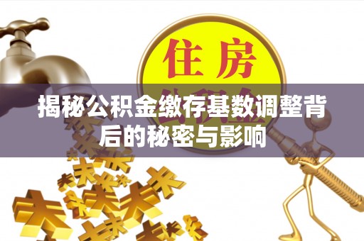 澄城揭秘公积金缴存基数调整背后的秘密与影响