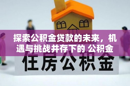 澄城探索公积金贷款的未来，机遇与挑战并存下的 公积金贷款风险防控