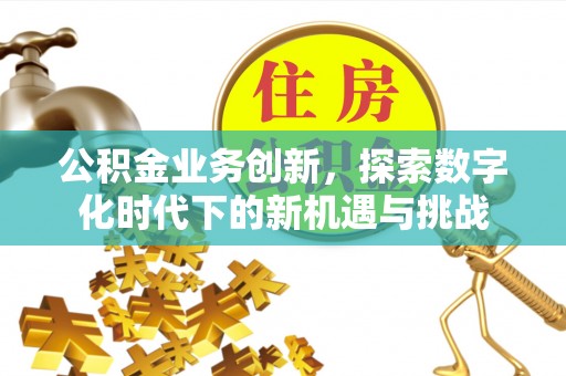 澄城公积金业务创新，探索数字化时代下的新机遇与挑战