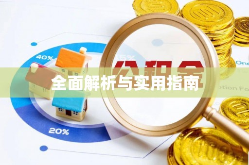 澄城全面解析与实用指南