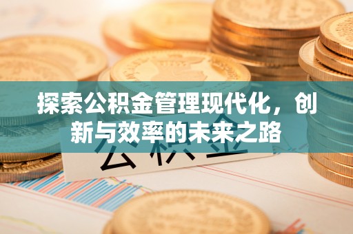 澄城探索公积金管理现代化，创新与效率的未来之路