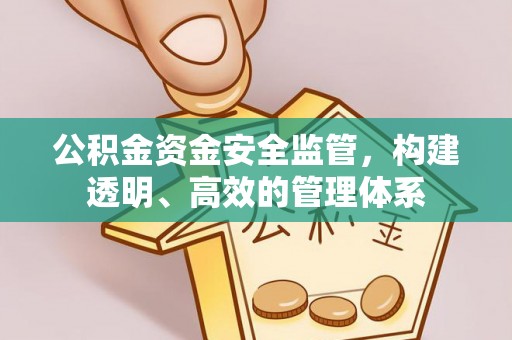 澄城公积金资金安全监管，构建透明、高效的管理体系