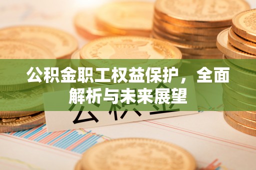 澄城公积金职工权益保护，全面解析与未来展望
