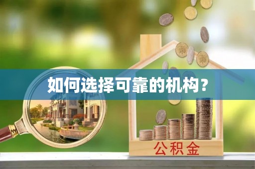 澄城如何选择可靠的机构？
