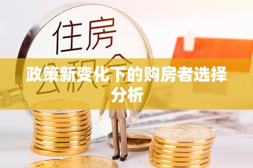澄城政策新变化下的购房者选择分析