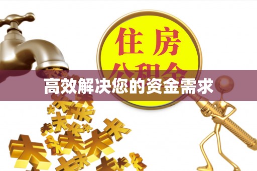 澄城高效解决您的资金需求
