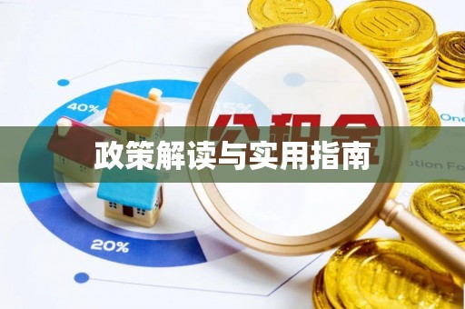 澄城政策解读与实用指南