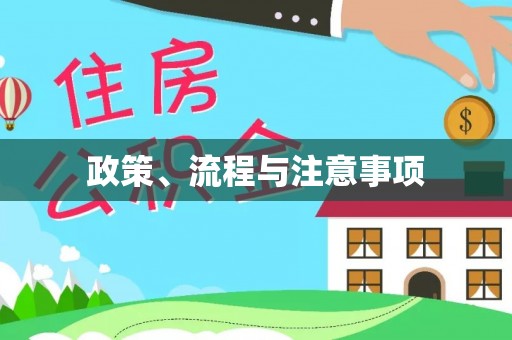 澄城政策、流程与注意事项