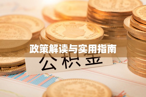 澄城政策解读与实用指南