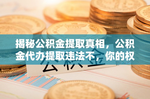 澄城揭秘公积金提取真相，公积金代办提取违法不，你的权益如何保障？