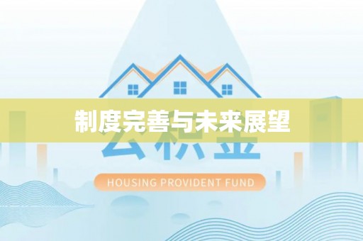 澄城制度完善与未来展望