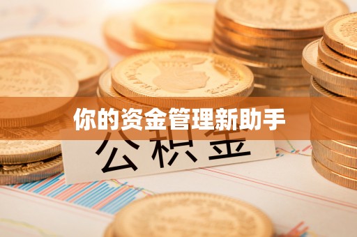 澄城你的资金管理新助手