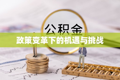 澄城政策变革下的机遇与挑战