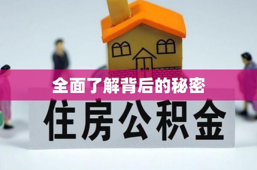 澄城全面了解背后的秘密