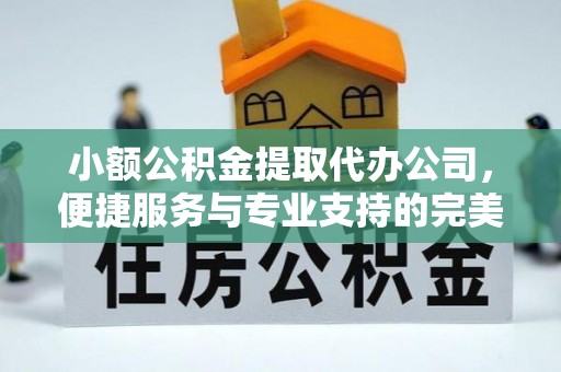 澄城小额公积金提取代办公司，便捷服务与专业支持的完美结合
