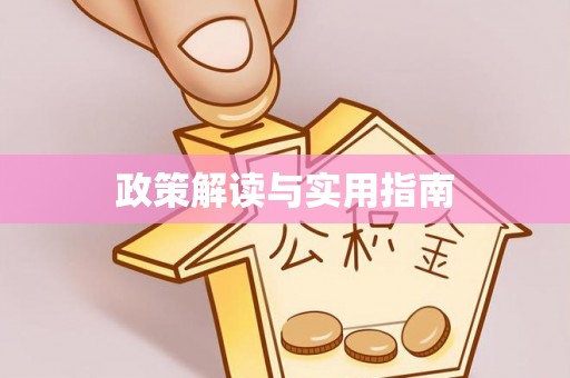 澄城政策解读与实用指南