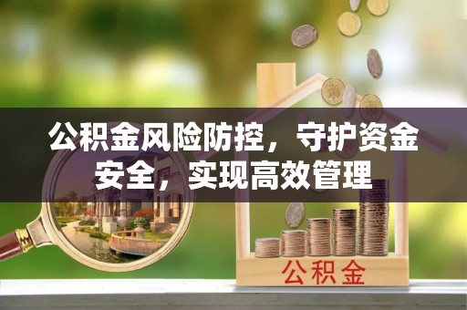 澄城公积金风险防控，守护资金安全，实现高效管理