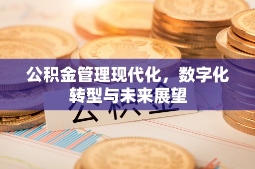 澄城公积金管理现代化，数字化转型与未来展望