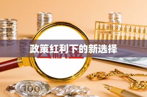 澄城政策红利下的新选择