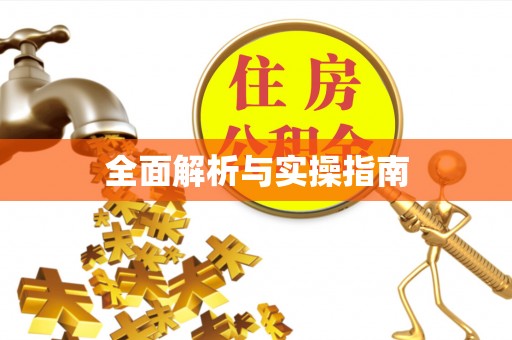 澄城全面解析与实操指南
