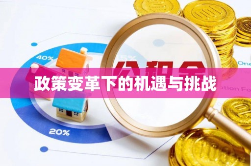 澄城政策变革下的机遇与挑战