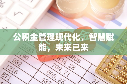 澄城公积金管理现代化，智慧赋能，未来已来