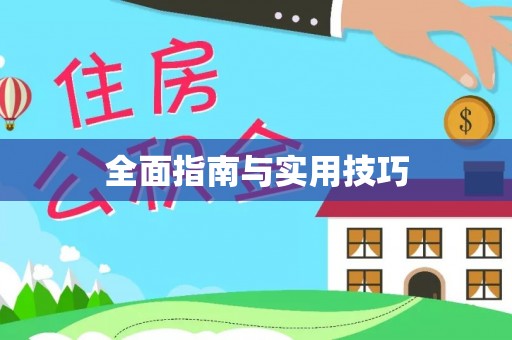 澄城全面指南与实用技巧