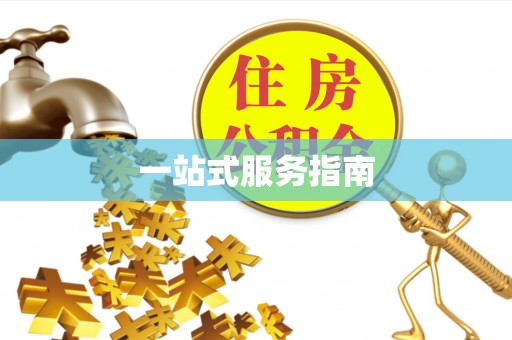 澄城一站式服务指南