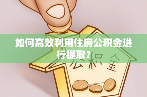 澄城如何高效利用住房公积金进行提取？