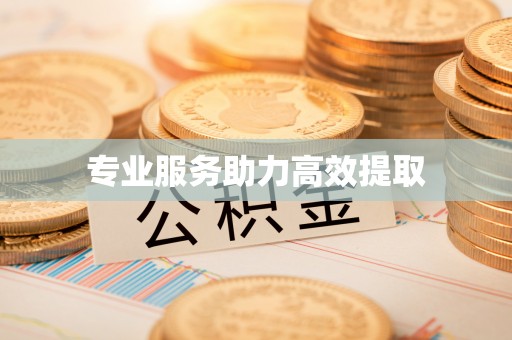 澄城专业服务助力高效提取