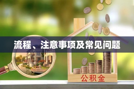 澄城流程、注意事项及常见问题