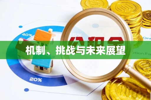 澄城机制、挑战与未来展望