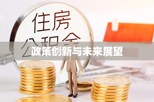 澄城政策创新与未来展望