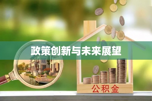 澄城政策创新与未来展望
