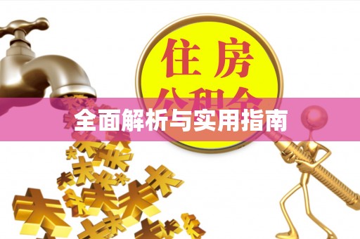 澄城全面解析与实用指南