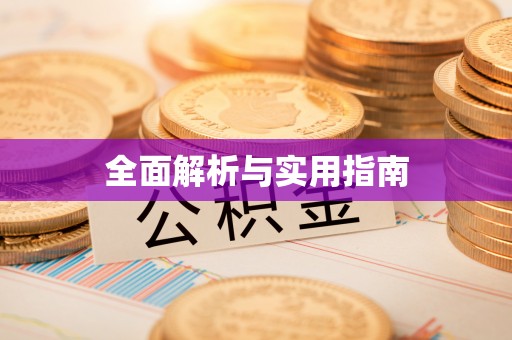 澄城全面解析与实用指南